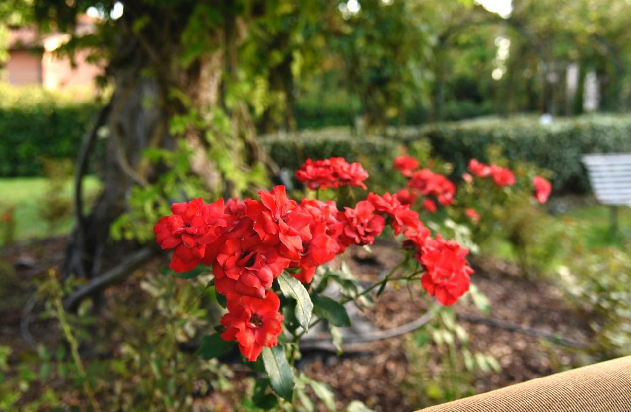 Agriturismo Argaland Parma Zewnętrze zdjęcie